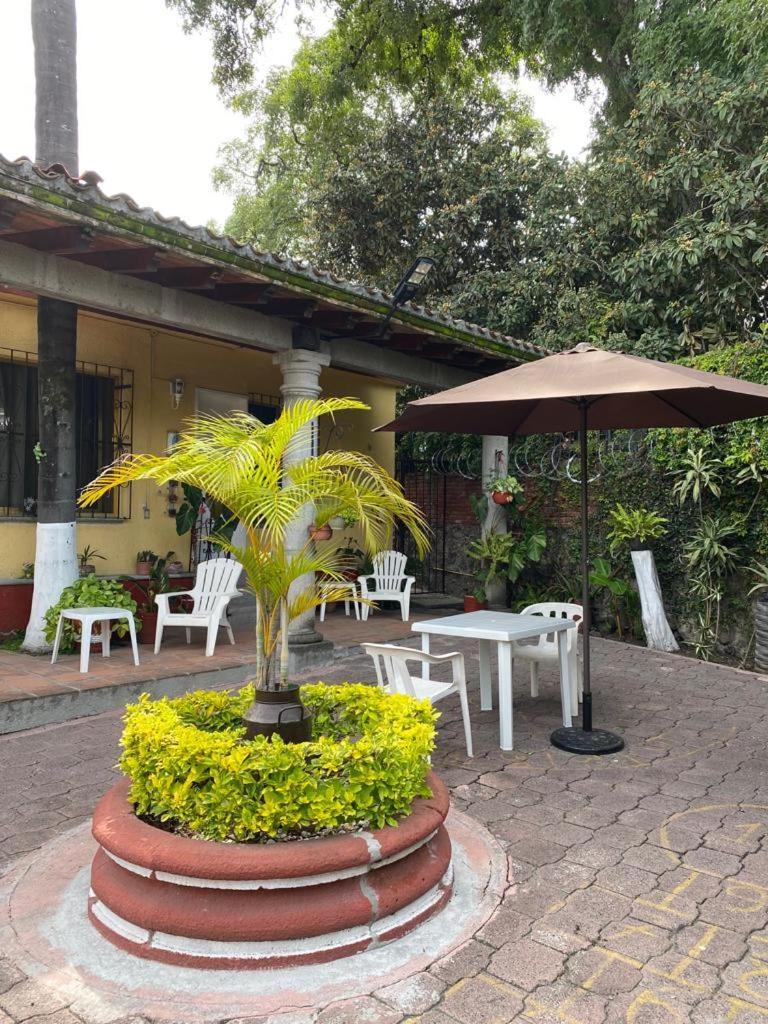 Quinta Angeles Apartman Cuernavaca Kültér fotó
